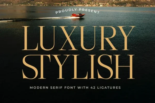 Luxury Stylish